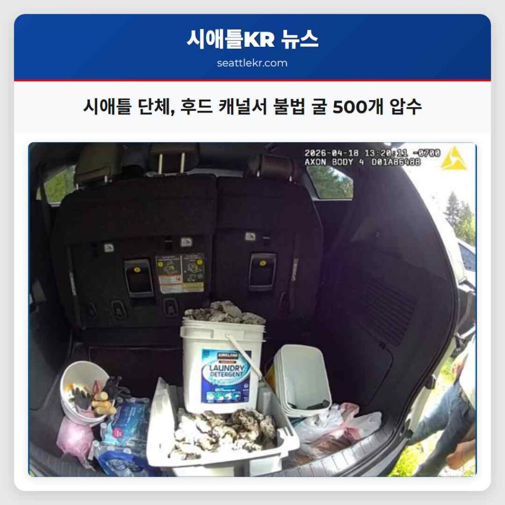 시애틀 단체, 후드 캐널서 불법 굴 500개 압수