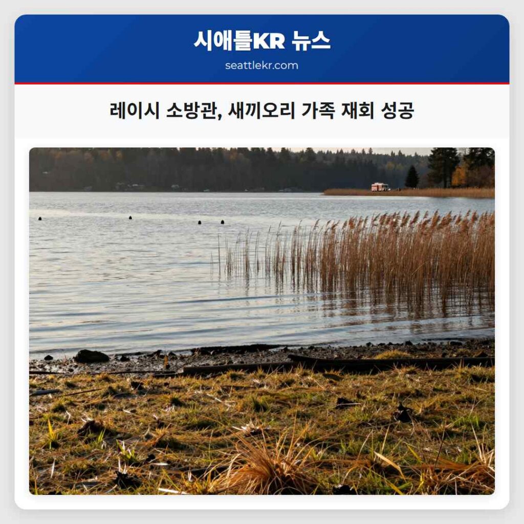 레이시 소방관, 새끼오리 가족 재회 성공