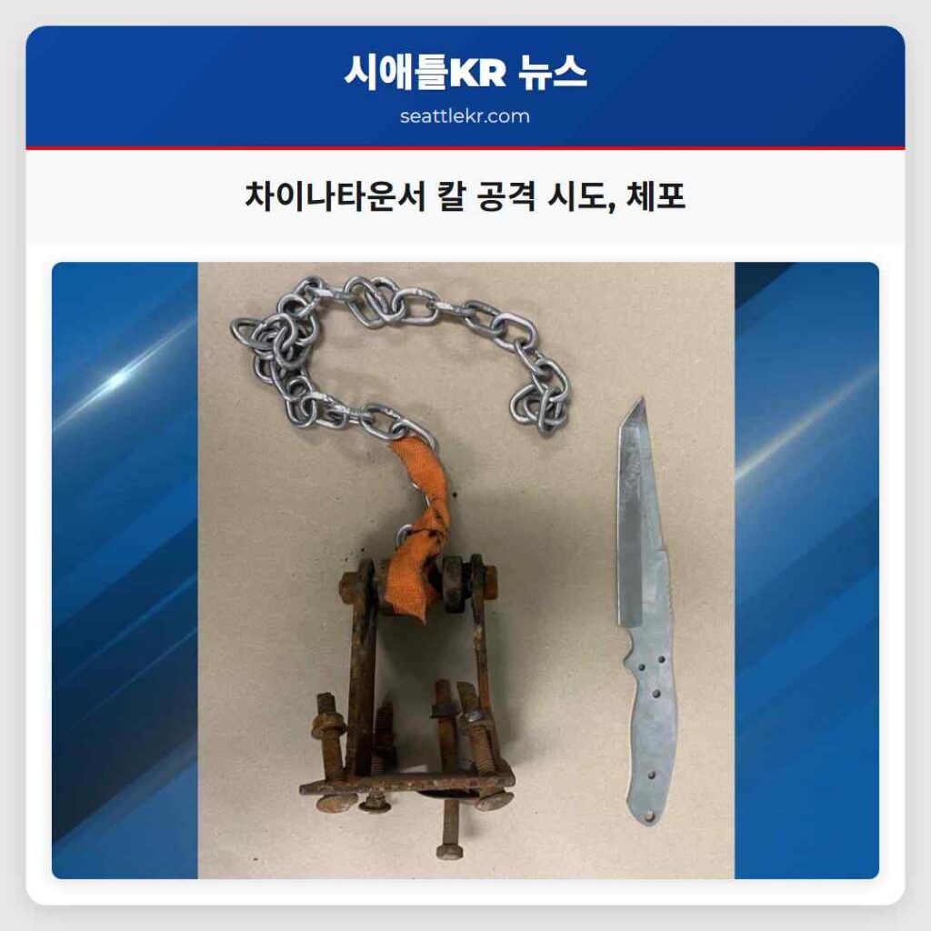 차이나타운서 칼 공격 시도, 체포