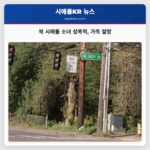 북 시애틀 소녀 성폭력 가족 절망