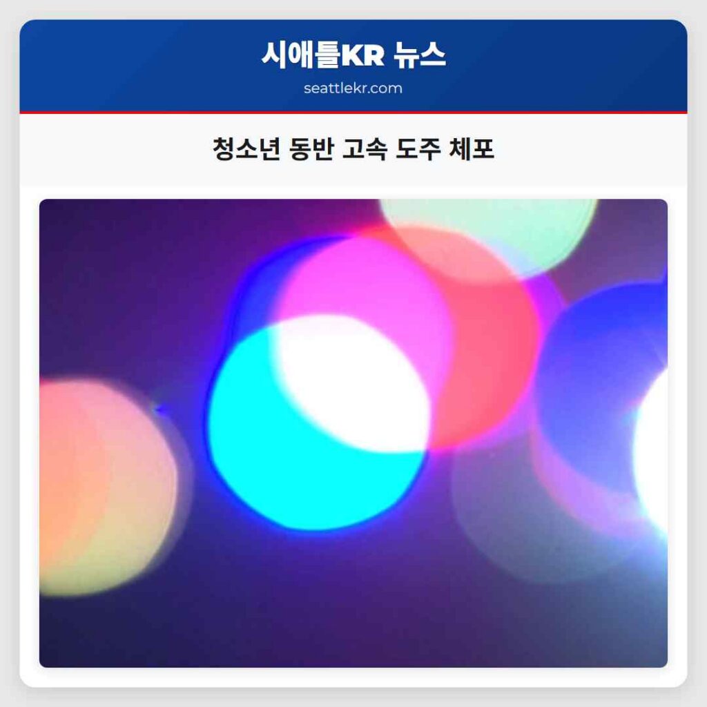청소년 동반 고속 도주 체포