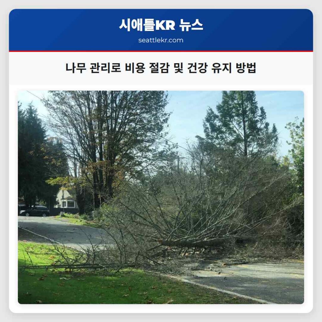 나무 관리로 비용 절감 및 건강 유지 방법