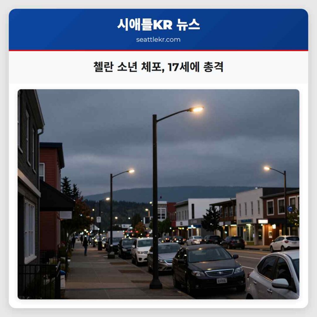 첼란 소년 체포, 17세에 총격