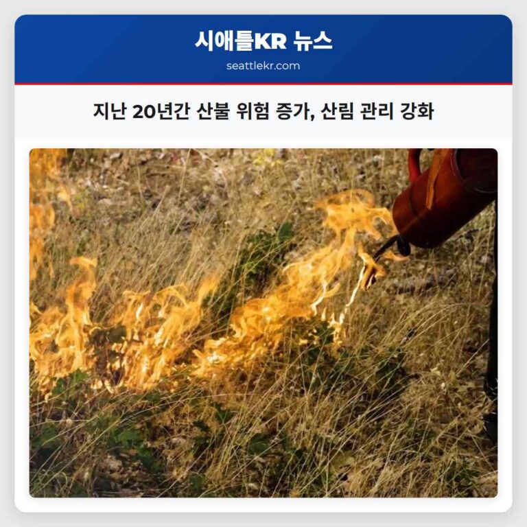지난 20년간 산불 위험 증가 산림 관리 강화