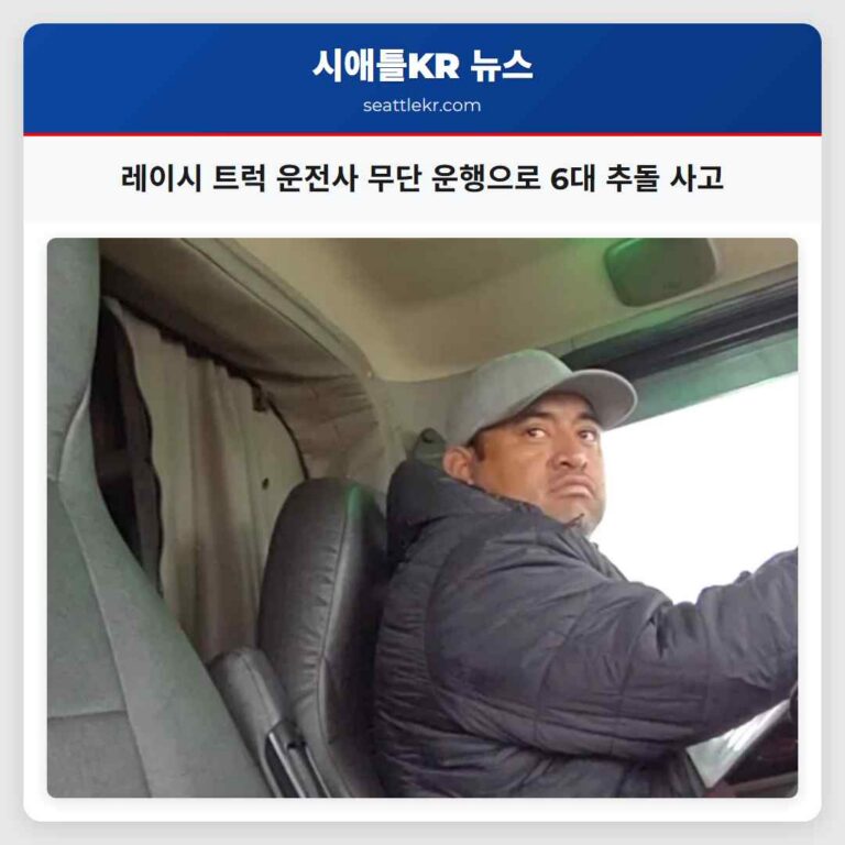 레이시 트럭 운전사 무단 운행으로 6대 추돌 사고