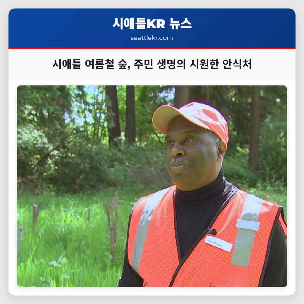 시애틀 여름철 숲, 주민 생명의 시원한 안식처