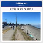 알키 해변 여름 인파 주민 안전 우려