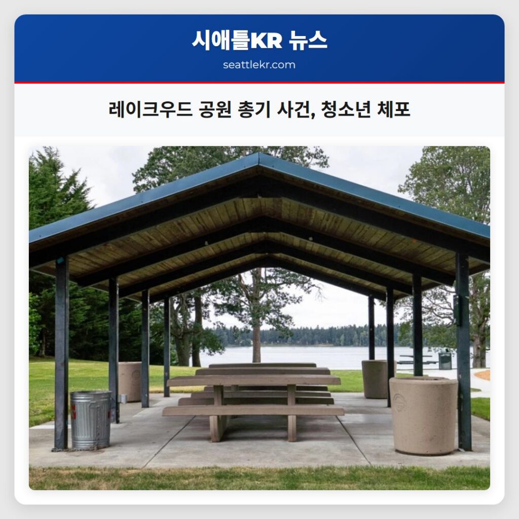 레이크우드 공원 총기 사건, 청소년 체포