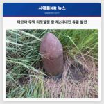 타코마 주택 리모델링 중 제2차대전 유물 발견