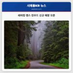 레이킹 캔스 린우드 신규 매장 오픈