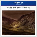 머건 월렌 콘서트 중 피아노 고장으로 중단