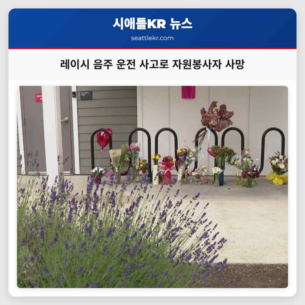 레이시 음주 운전 사고로 자원봉사자 사망