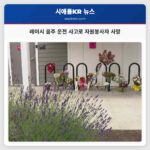레이시 음주 운전 사고로 자원봉사자 사망