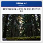 올림픽 국립공원 유골 30년 만에 조셉 루이스 세라오 주니어 확인