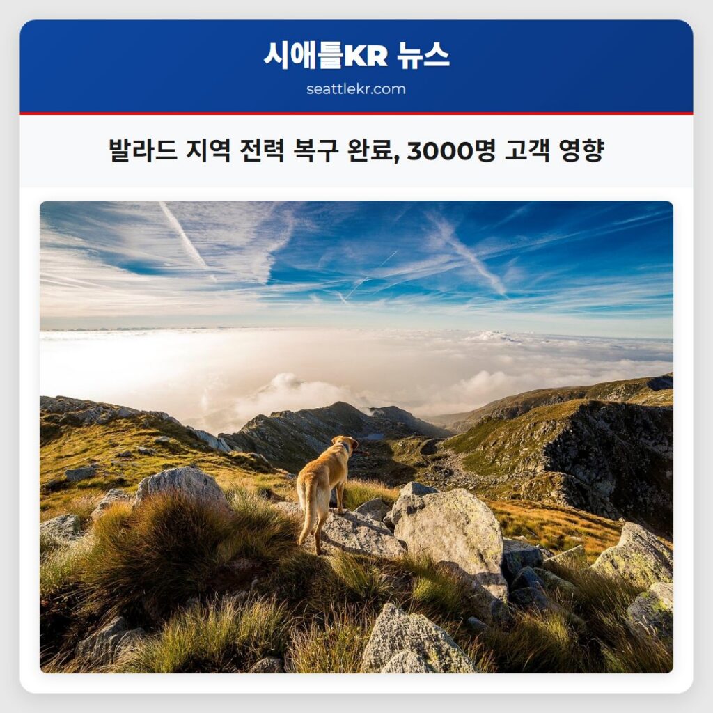 발라드 지역 전력 복구 완료, 3000명 고객 영향
