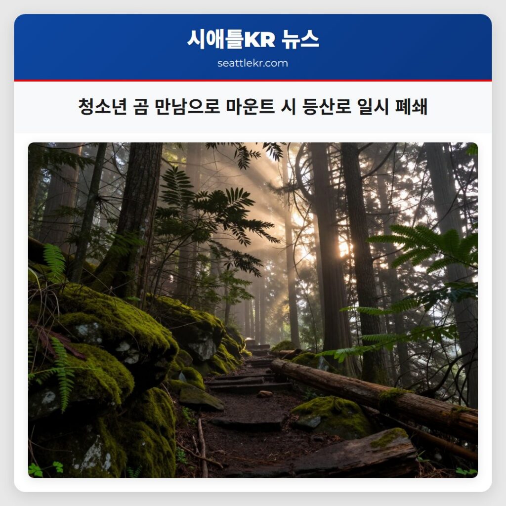 청소년 곰 만남으로 마운트 시 등산로 일시 폐쇄