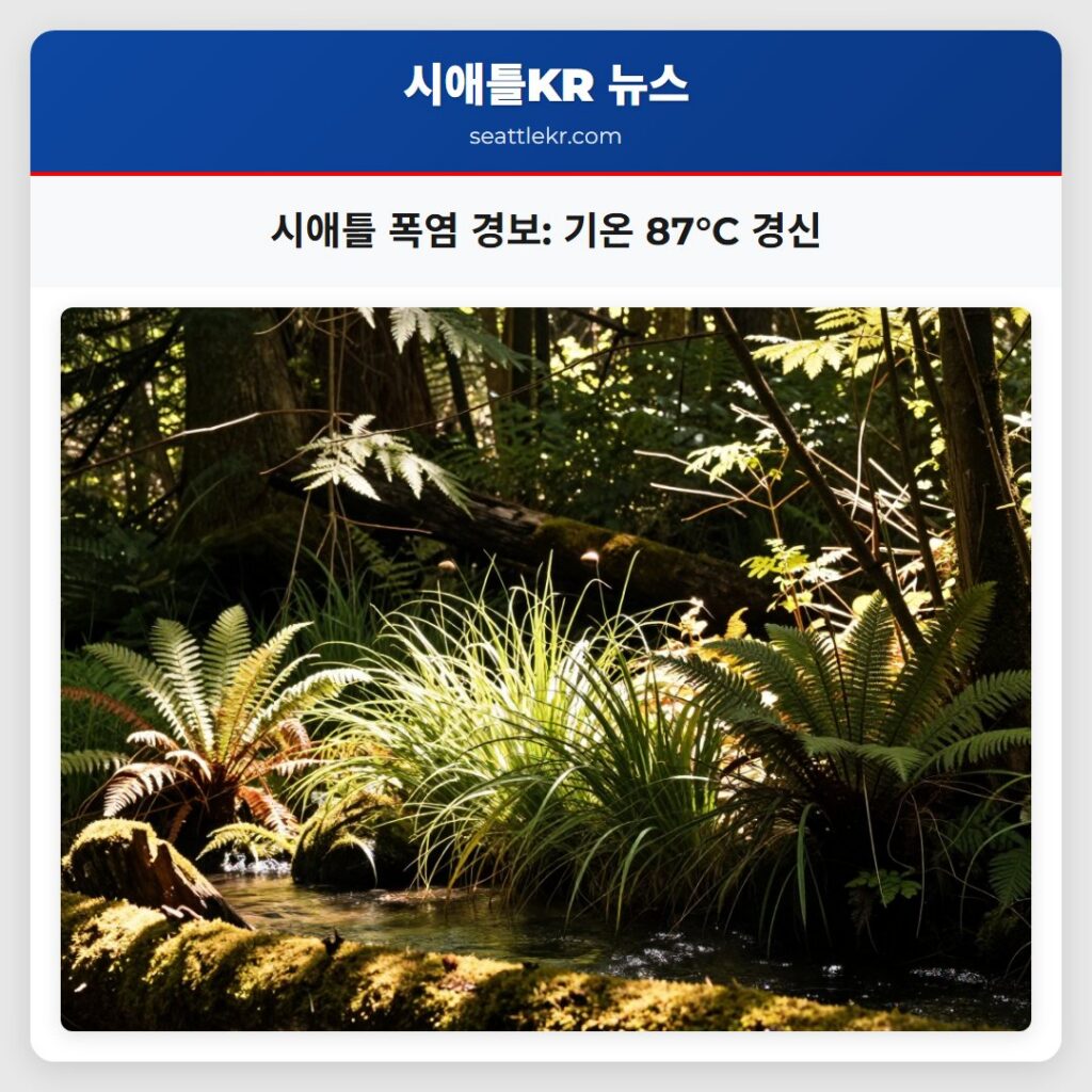 시애틀 폭염 경보: 기온 87°C 경신