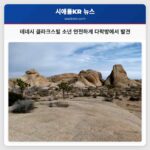 테네시 클라크스빌 소년 안전하게 다락방에서 발견