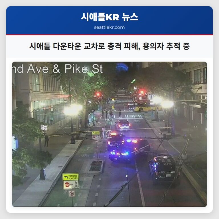 시애틀 다운타운 교차로 총격 피해 용의자 추적 중