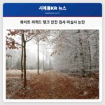 화이트 리퀴드 탱크 안전 검사 미실시 논란