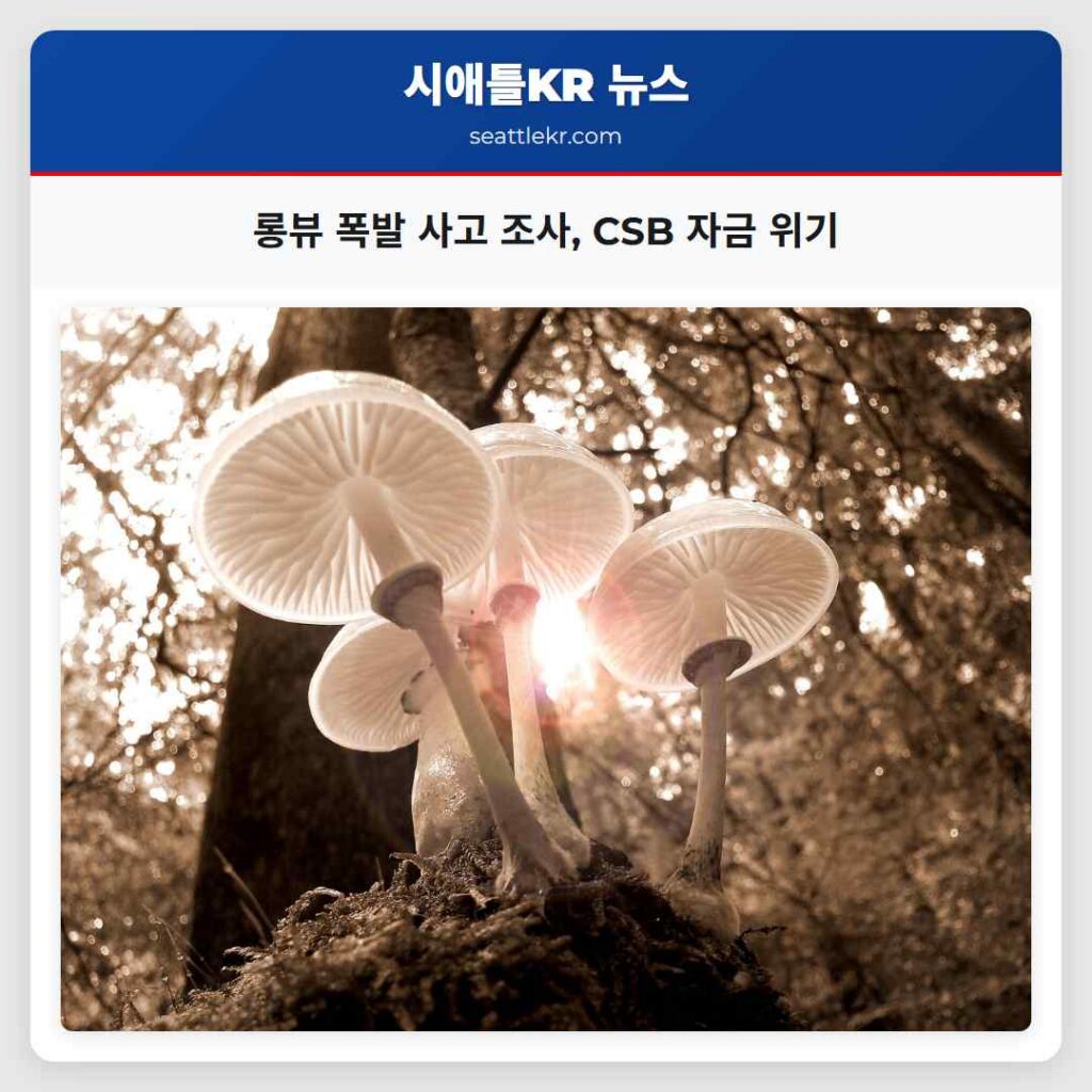롱뷰 폭발 사고 조사, CSB 자금 위기