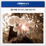 롱뷰 폭발 사고 조사 CSB 자금 위기