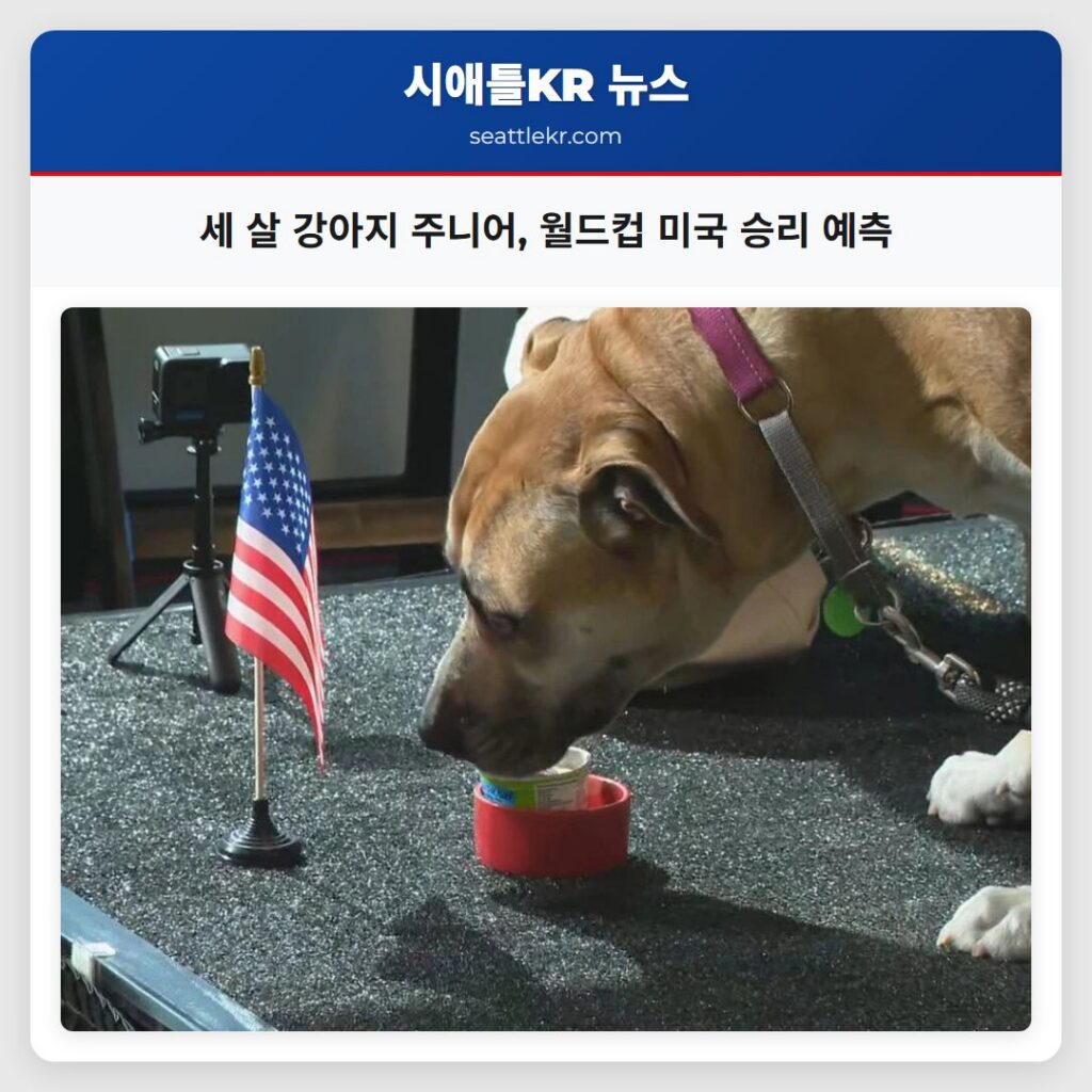 세 살 강아지 주니어, 월드컵 미국 승리 예측
