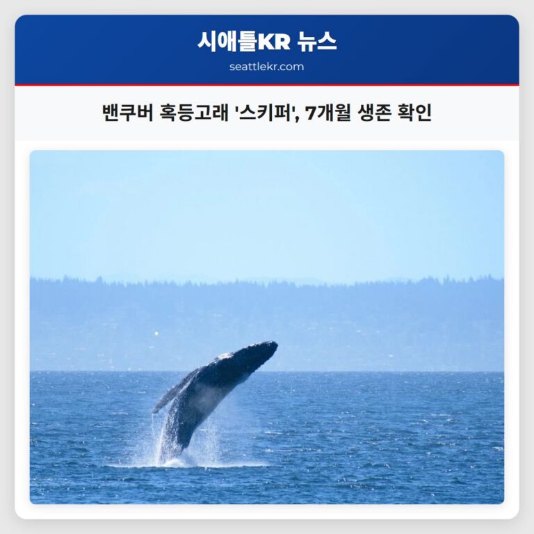 밴쿠버 혹등고래 스키퍼 7개월 생존 확인