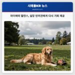 마이애미 말린스 실망 반려견에게 다시 기회 제공