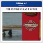 시애틀 레이크 워싱턴 부두 물놀이 중 청소년 중태