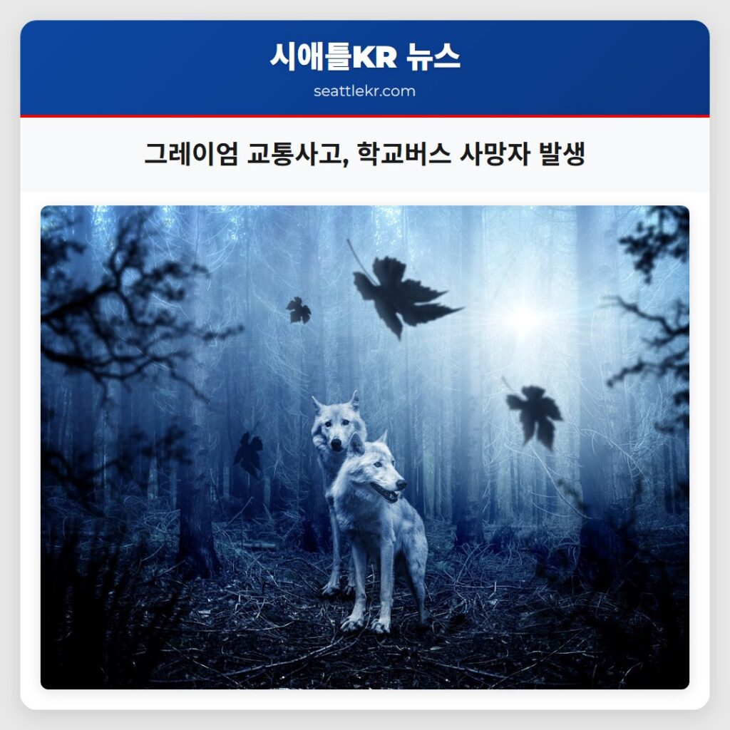 그레이엄 교통사고, 학교버스 사망자 발생
