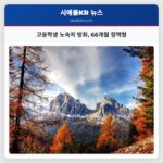 고등학생 노숙자 방화 66개월 징역형