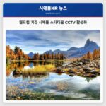 월드컵 기간 시애틀 스타디움 CCTV 활성화
