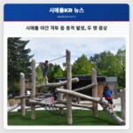 시애틀 야간 격투 중 총격 발생 두 명 중상