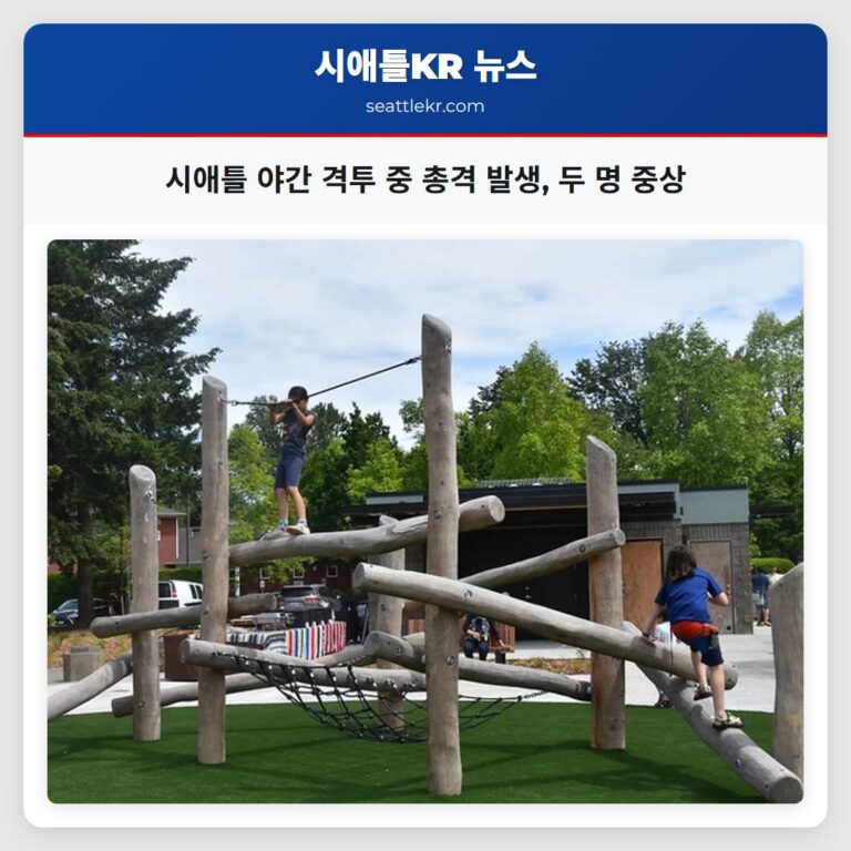 시애틀 야간 격투 중 총격 발생 두 명 중상