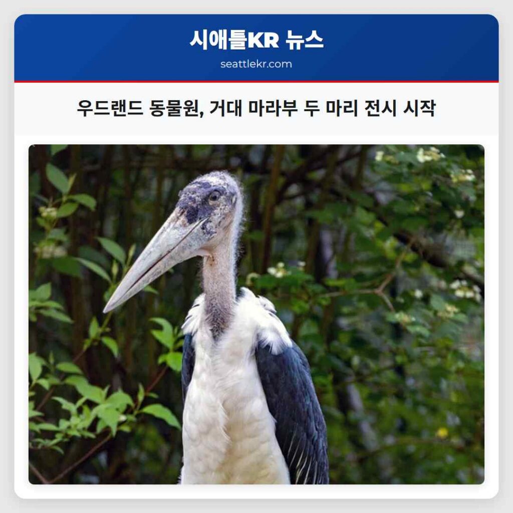 우드랜드 동물원, 거대 마라부 두 마리 전시 시작