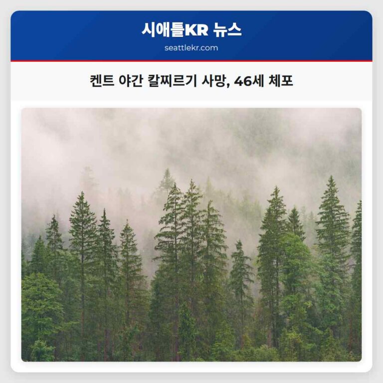 켄트 야간 칼찌르기 사망 46세 체포