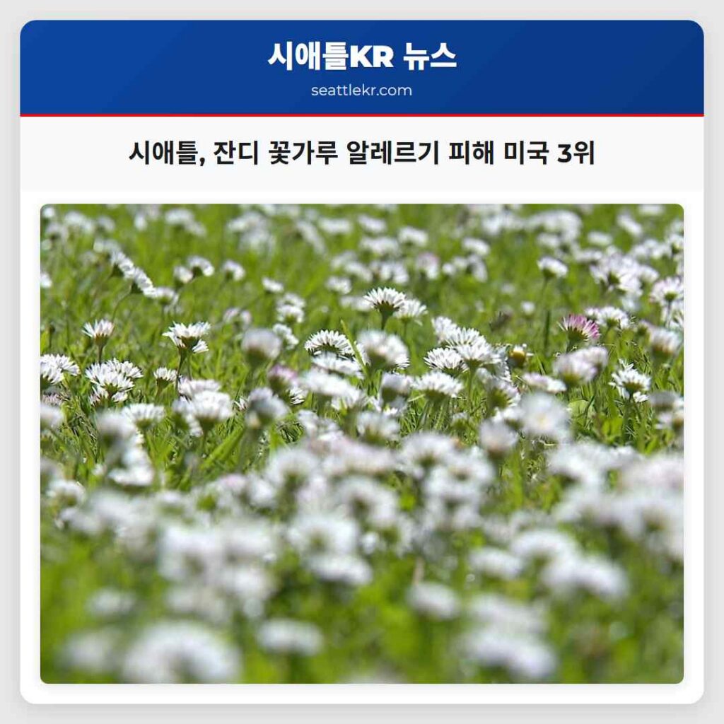 시애틀, 잔디 꽃가루 알레르기 피해 미국 3위