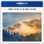 퓨앨럽 가정 폭력 신고 중 경찰관 사격 발생