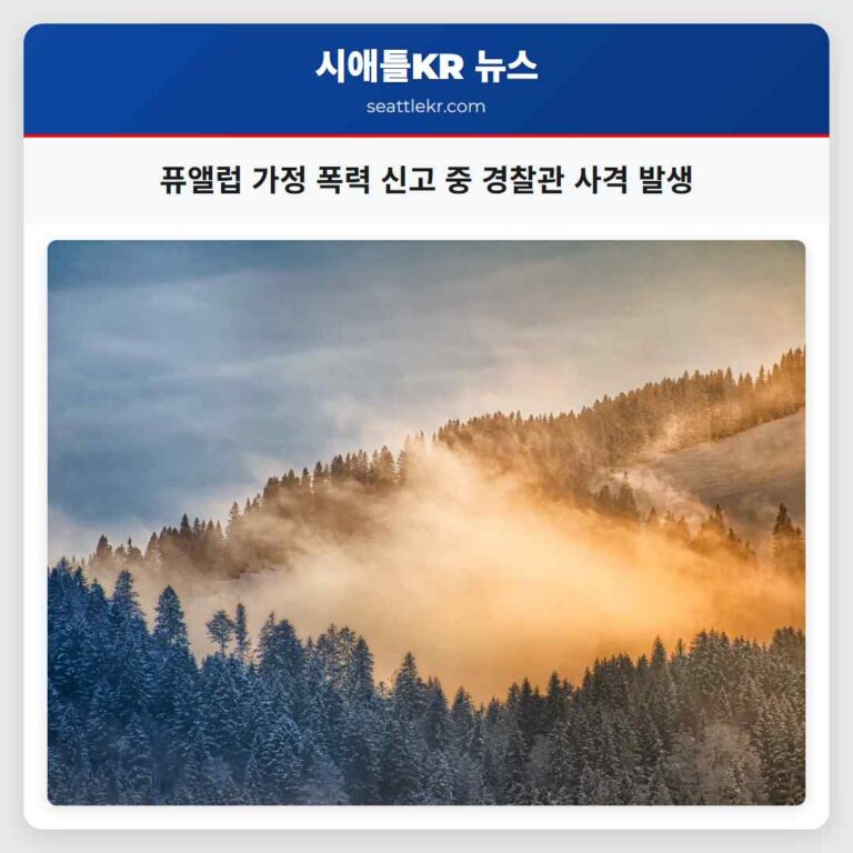 퓨앨럽 가정 폭력 신고 중 경찰관 사격 발생