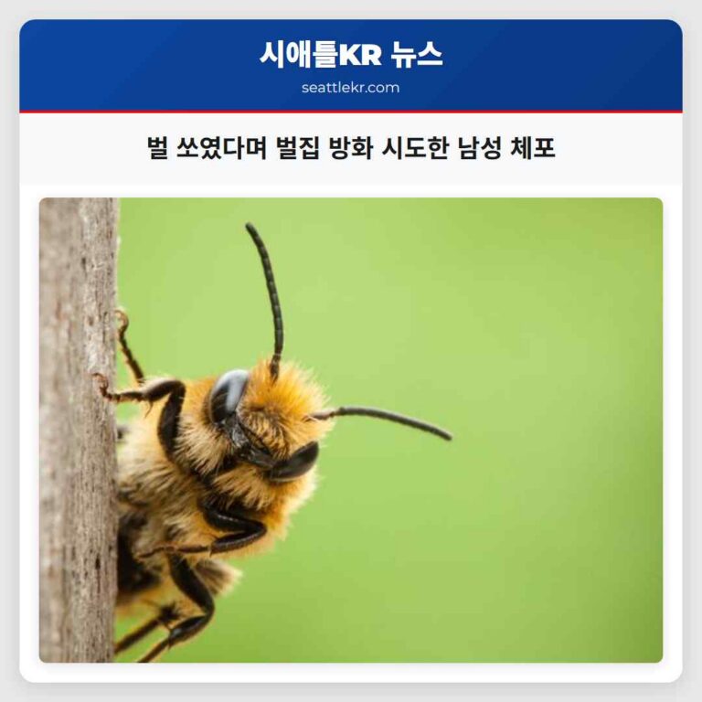 벌 쏘였다며 벌집 방화 시도한 남성 체포