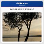 애버딘 아동 사망 사건 경고 무시 논란