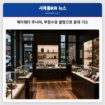 메이웨더 주니어 부정수표 발행으로 중죄 기소