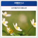 뉴욕 맨홀 하수도 탐험 논란