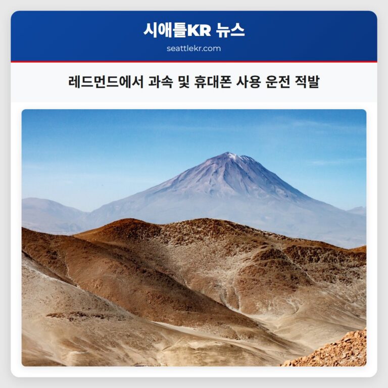 레드먼드에서 과속 및 휴대폰 사용 운전 적발