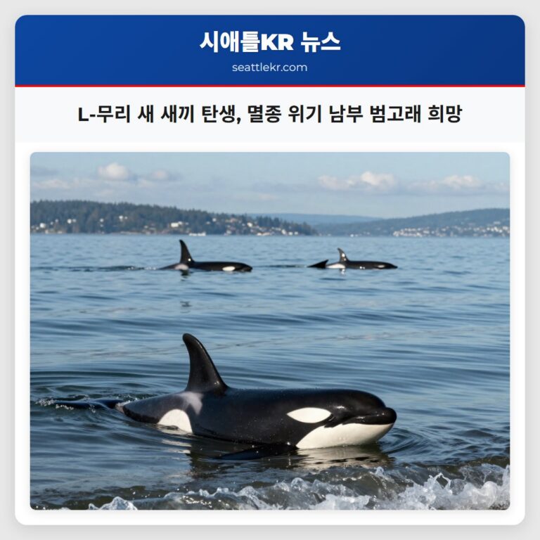 L-무리 새 새끼 탄생 멸종 위기 남부 범고래 희망
