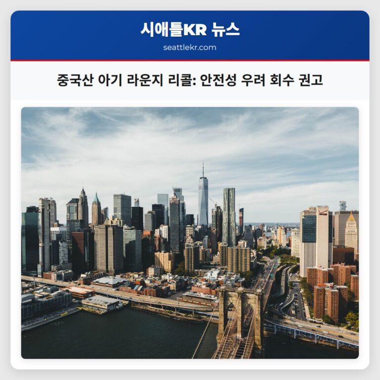 중국산 아기 라운지 리콜 안전성 우려 회수 권고