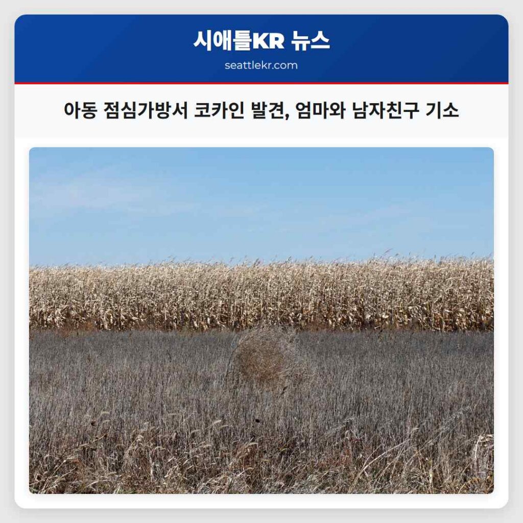 아동 점심가방서 코카인 발견, 엄마와 남자친구 기소