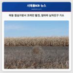 아동 점심가방서 코카인 발견 엄마와 남자친구 기소
