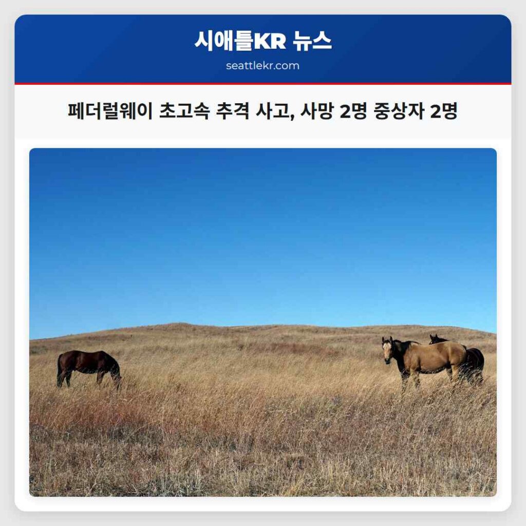 페더럴웨이 초고속 추격 사고, 사망 2명 중상자 2명